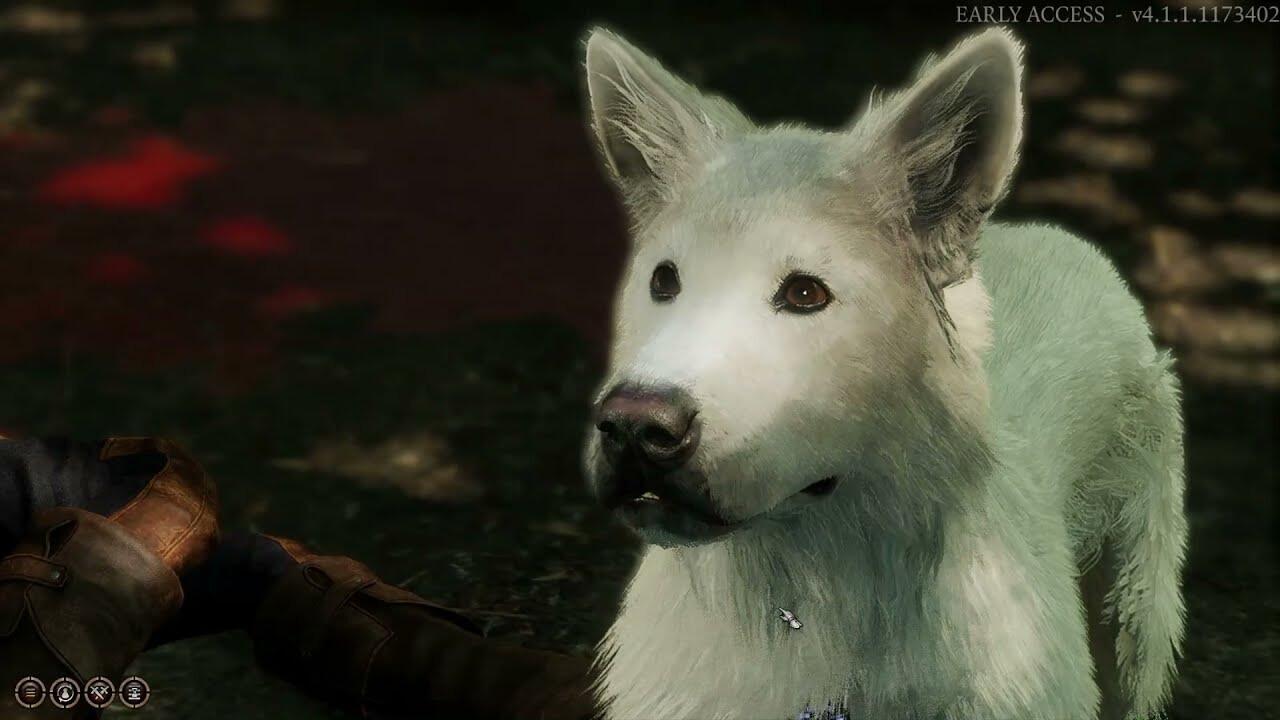 Best Boy (Scratch)