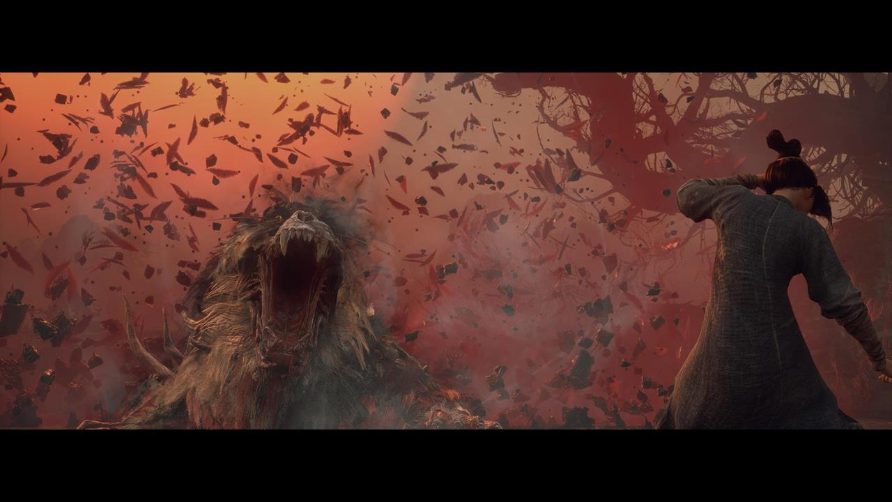 Fierce Tiger and Sovereign - Zhang Xianzhong