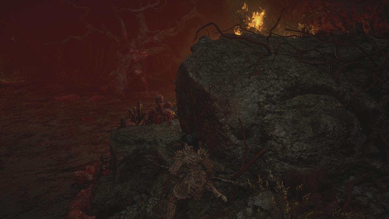 Echo of Soulwood