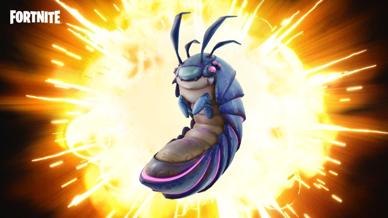 Roly Poly